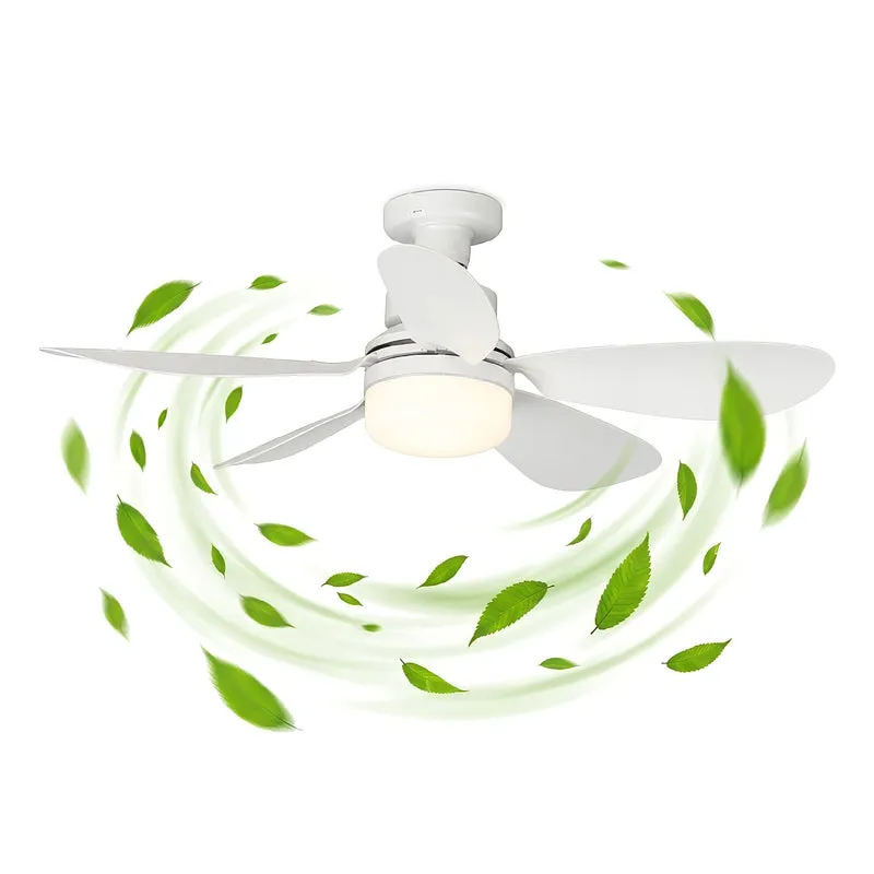 Lampadario Con Ventilatore da Soffitto Il Gruppone