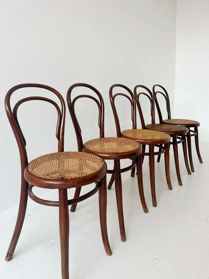 Cinque sedie Thonet
