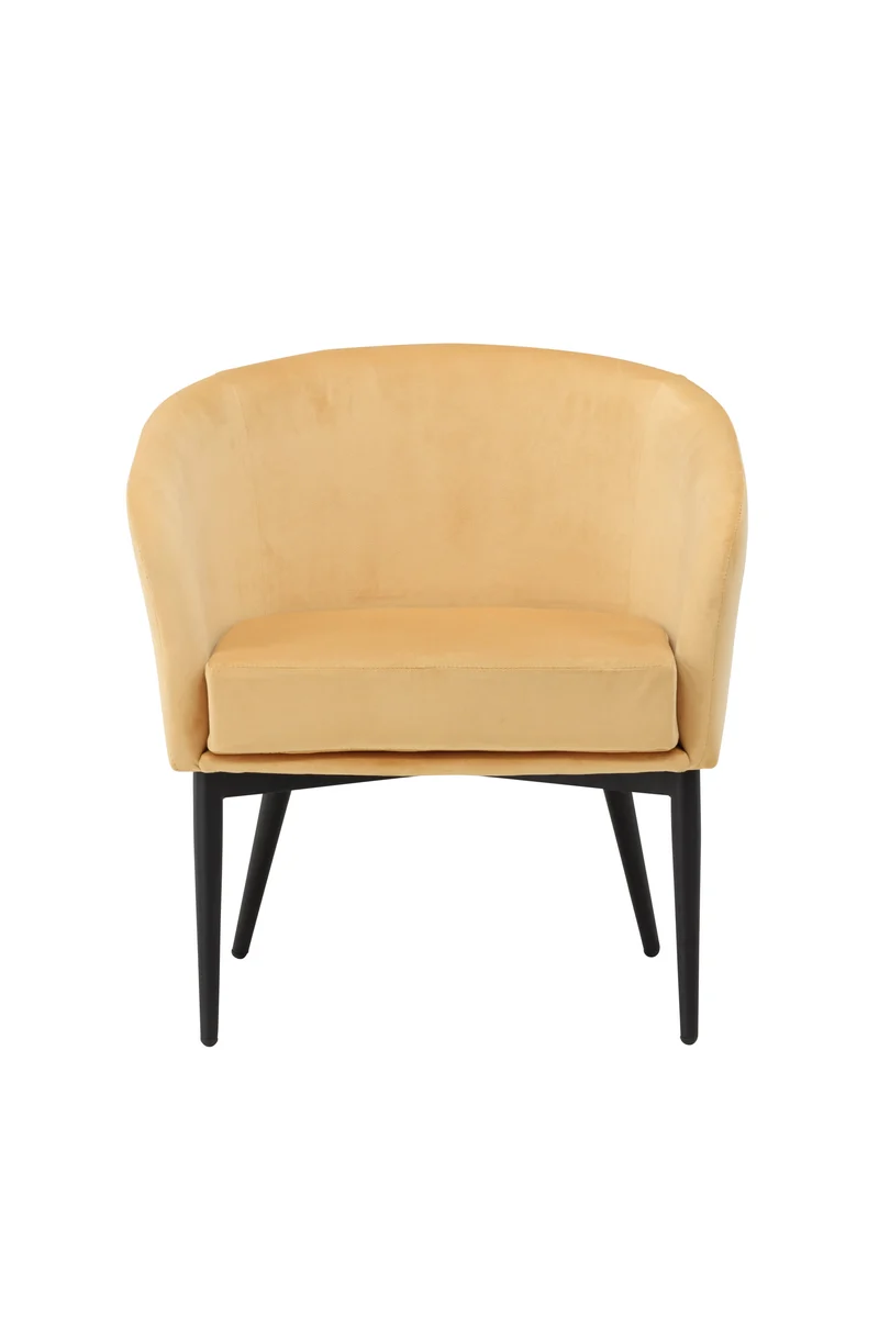 Fluffy Arm Chair