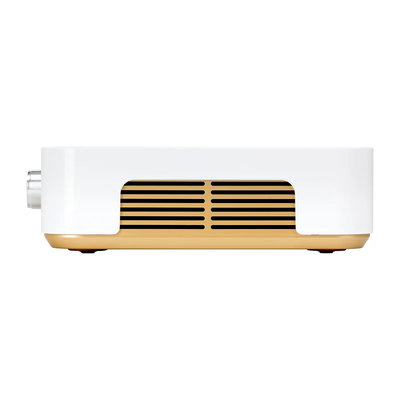 Aspiratore Polvere per Unghie Professionale | MOMO P30 (Bianco-Oro)