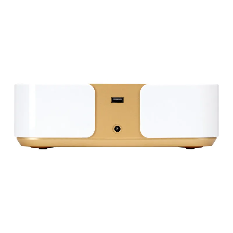 Aspiratore Polvere per Unghie Professionale | MOMO P30 (Bianco-Oro)