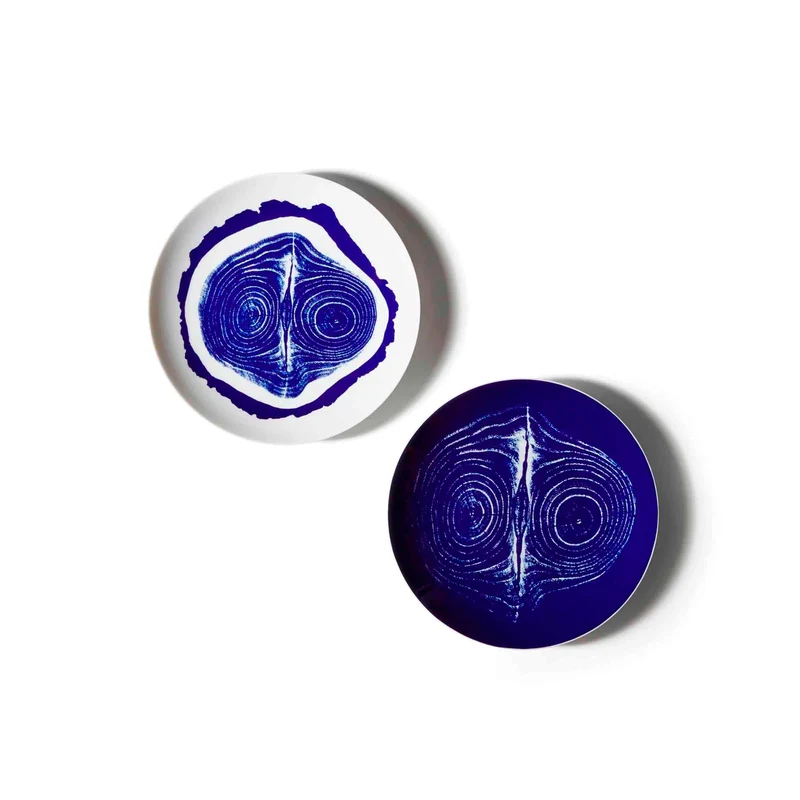 Porcelain Dinner Plate Set TRONC, designed by Richard Ginori for Cassina