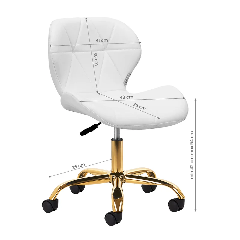 Sgabello Estetico Professionale con Schienale Ergonomico e Ruote Girevoli | QS-06G (Bianco)