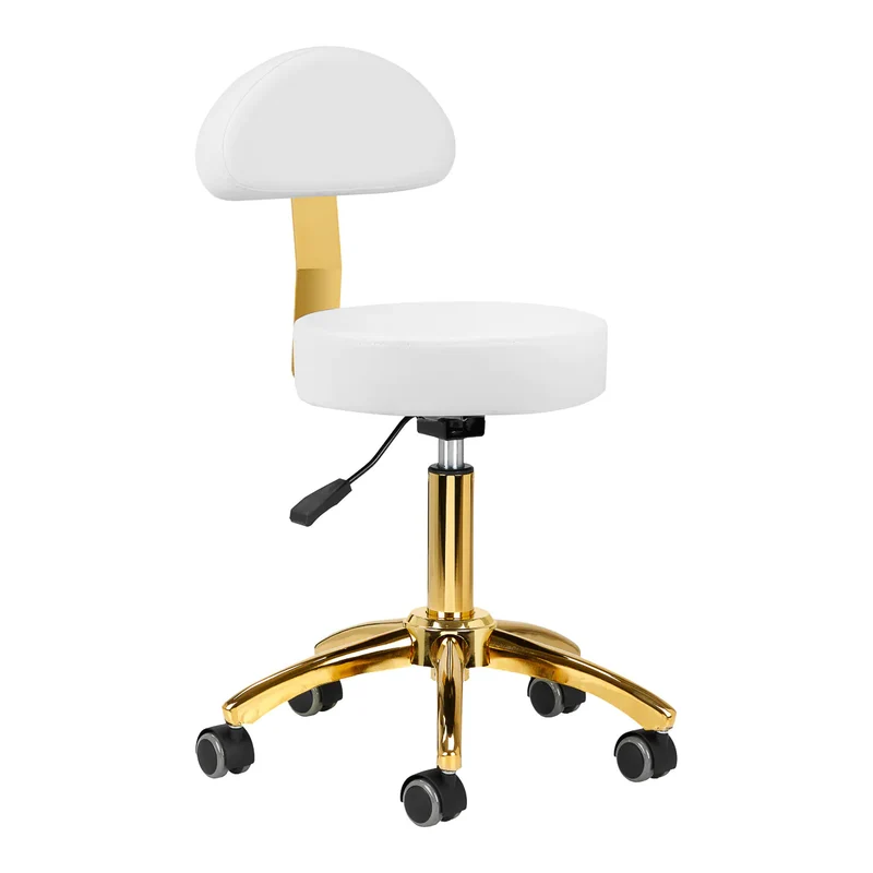 Sgabello Estetica Ergonomico con Schienale e Dettagli Oro | AM-304G (Bianco)