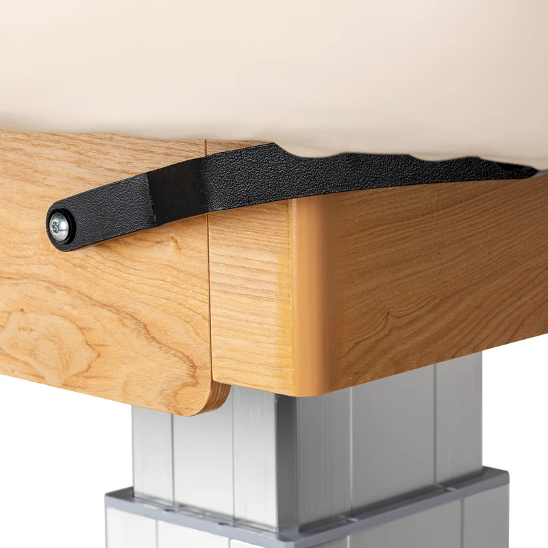 Lettino SPA Elettrico Professionale per Massaggi e Centri Estetici | SILLON COMFORT (Crema Marrone)