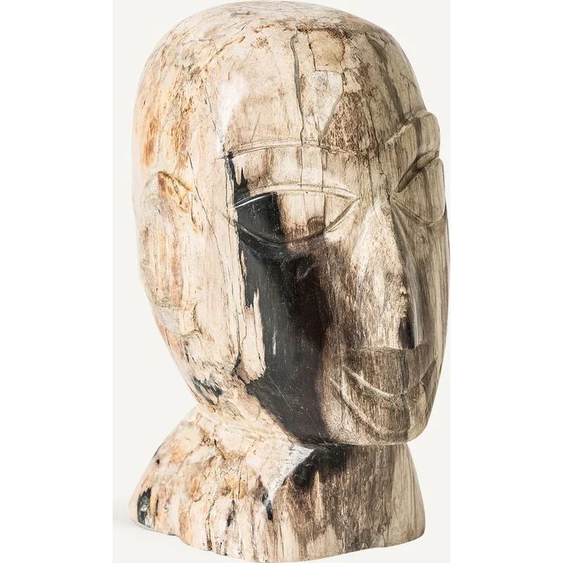 Busto design in legno pietrificato