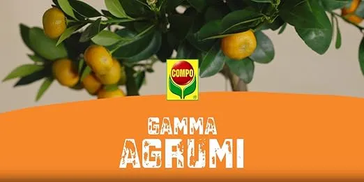 COMPO BIO Lupind’or plus 800 , concime organico naturale a base di lupini, per agrumi e sempreverdi Acidofile