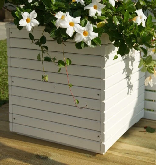 FIORIERA CAMELIA CM 40x40x40h BIANCA