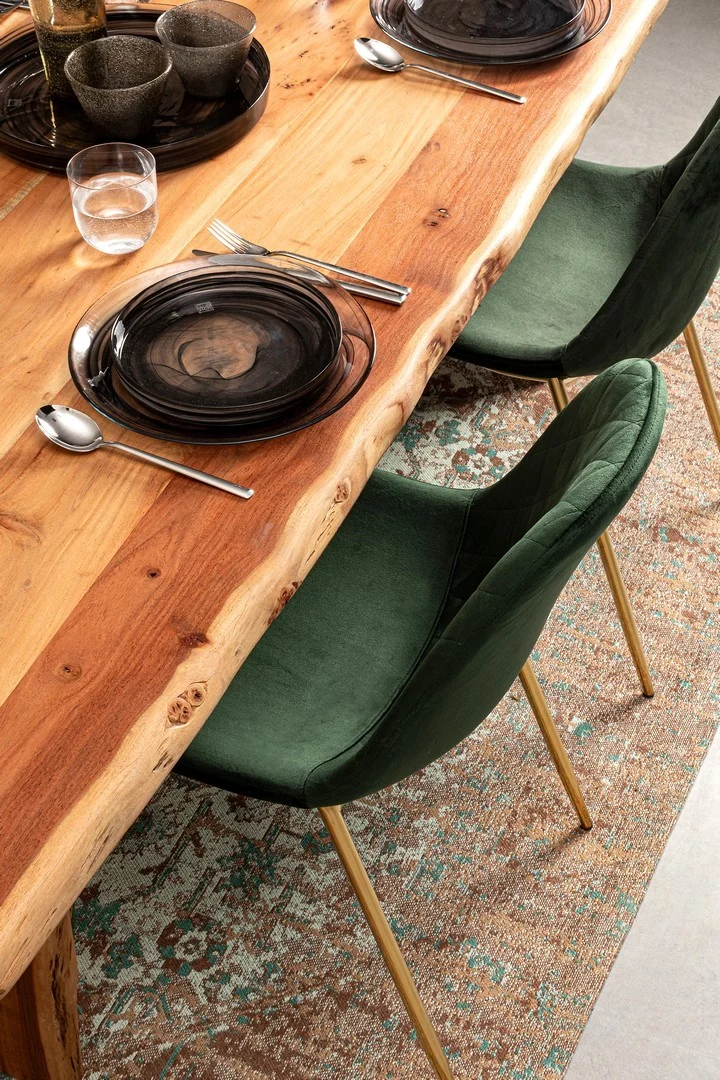 Sedia "Terry" con gambe in tubolare di acciaio con cromatura dorata, per arredo interno 48 x 55 x h 85 cm