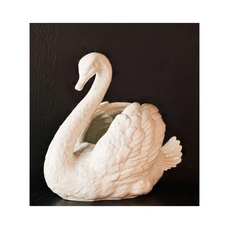 Cigno