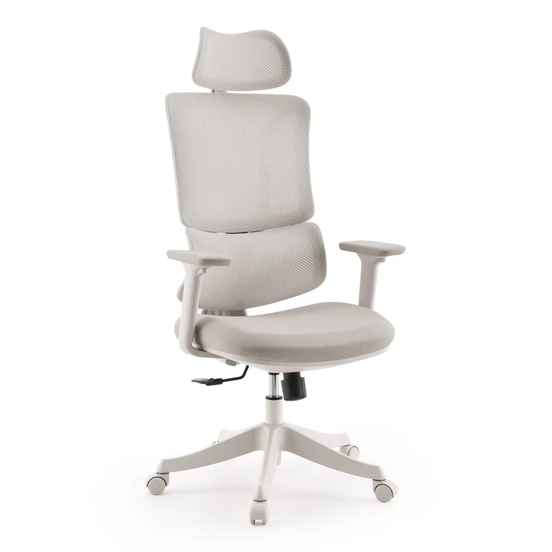 Ergomy Colore | Tessuto / Rete 3D | Struttura: Multicolore - Sedia Home Office