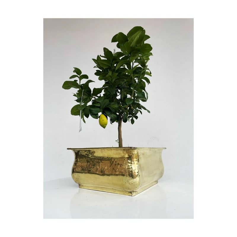 Portafiori ottone