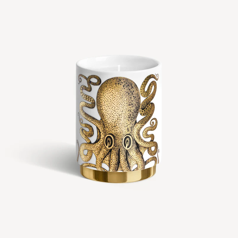 Scented Candle Polipo - Immaginazione fragrance