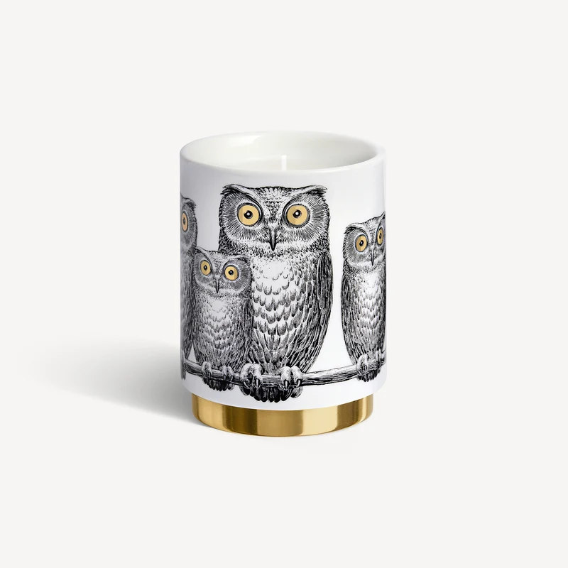 Scented Candle Civette - Immaginazione fragrance