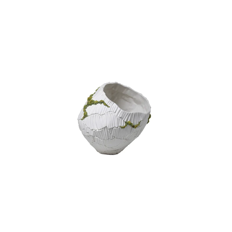 Zefiro Moss Vase