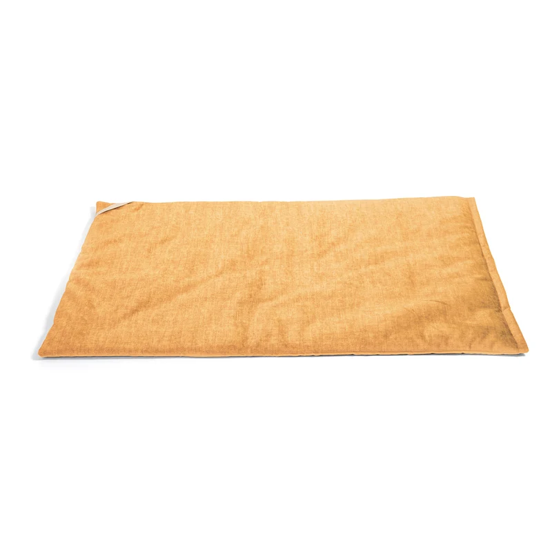 Filiform Medium