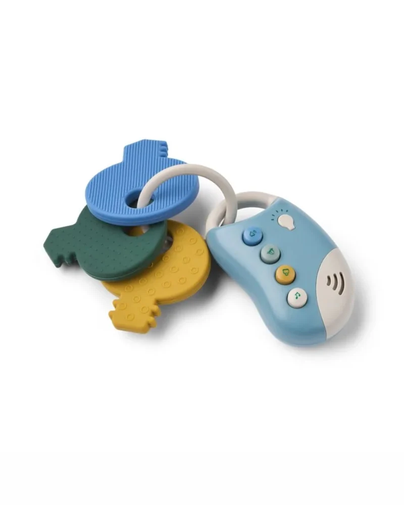 Vroom Car Keys
