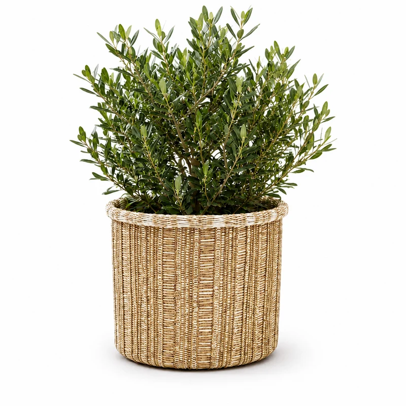 Cesto portavaso rotondo intrecciato H23xD23cm – Danfield white