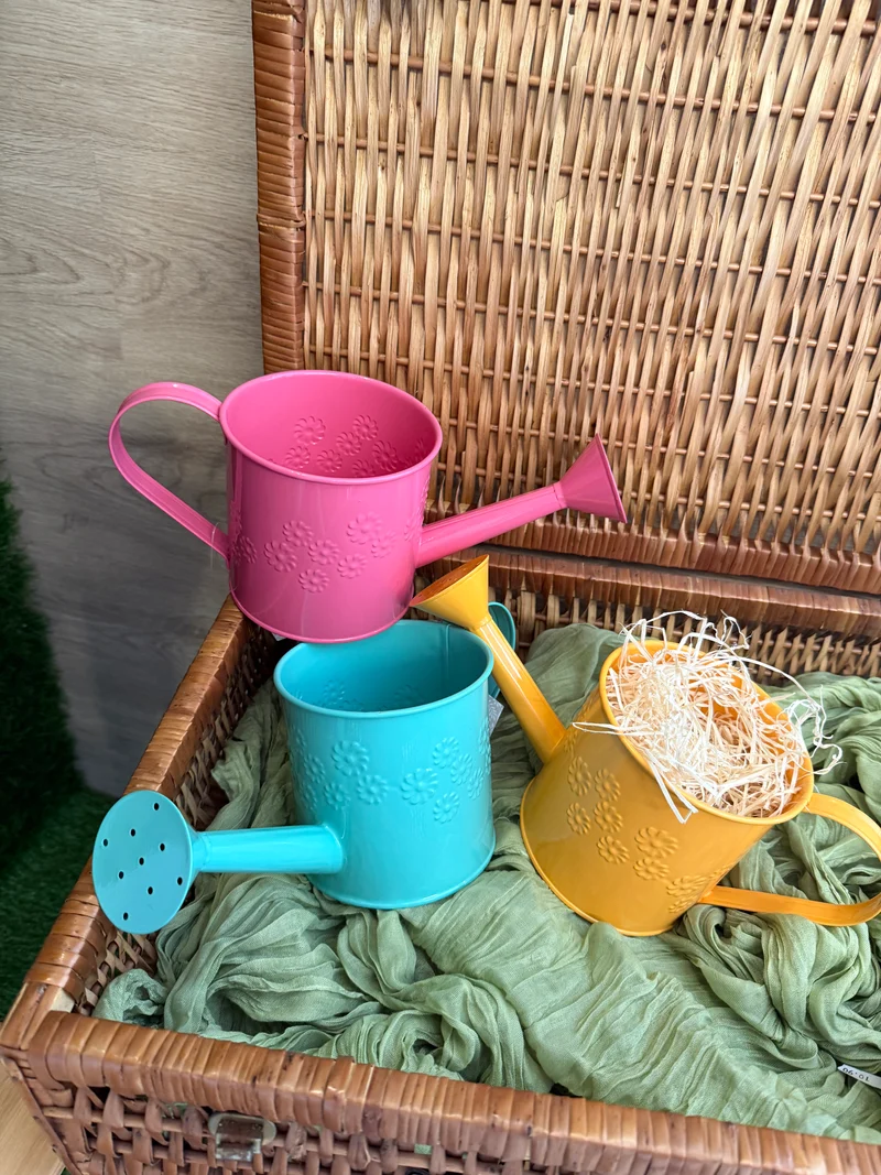 Vaso in metallo - Annaffiatoio