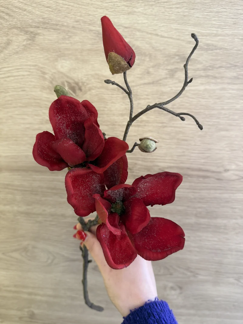 Ramo magnolia rossa innevata