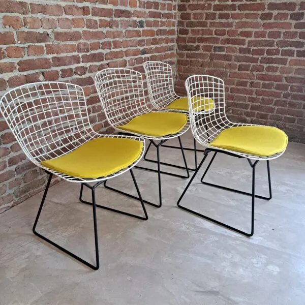 Set di Quattro Sedie di Harry Bertoia per Knoll International – (1950)