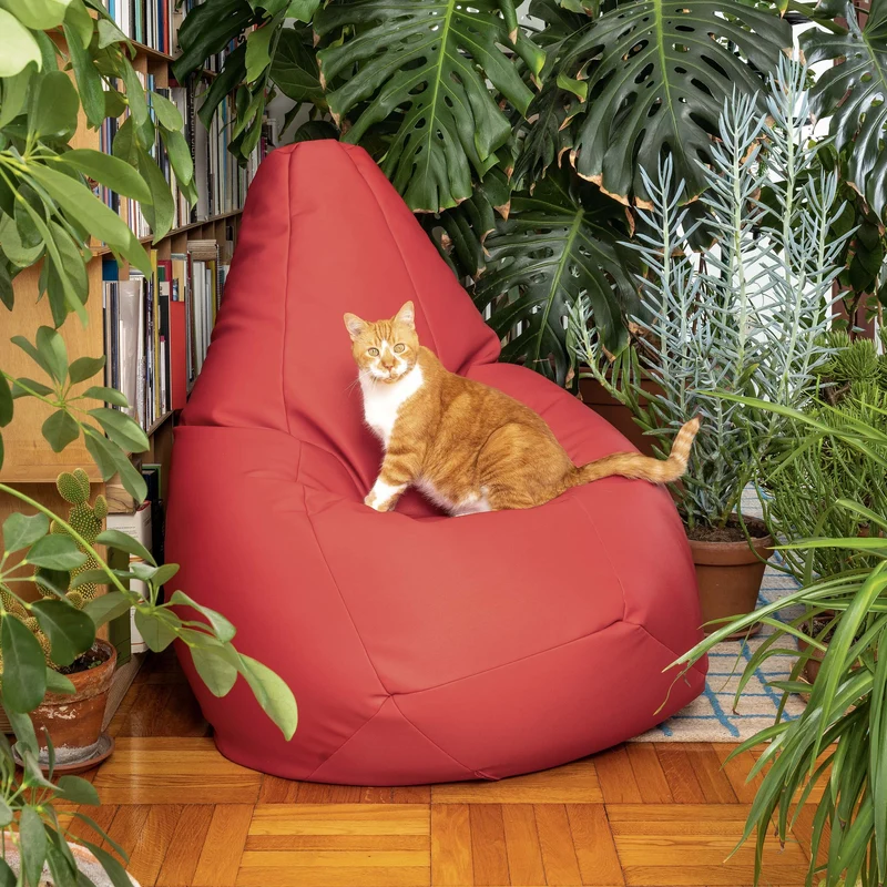 Anatomical Armchair SACCO by Gatti, Paolini, Teodoro for Zanotta