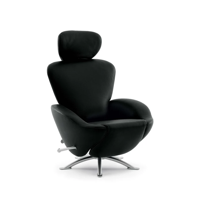 Leather Armchair DODO, designed by Toshiyuki Kita for Cassina
