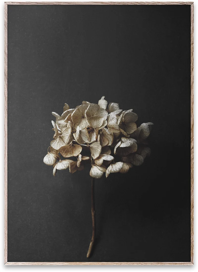 Still Life 04 Kunstdruck