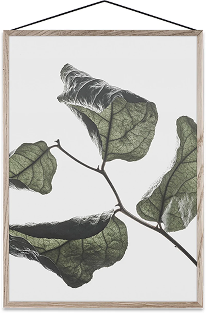 Floating Leaves 03 Kunstdruck