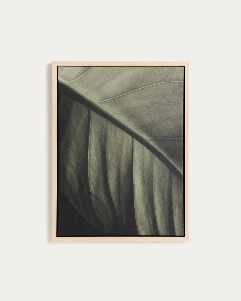 Bild Foliae – Fotografie eines Blatts, 32,5 x 42,5 cm