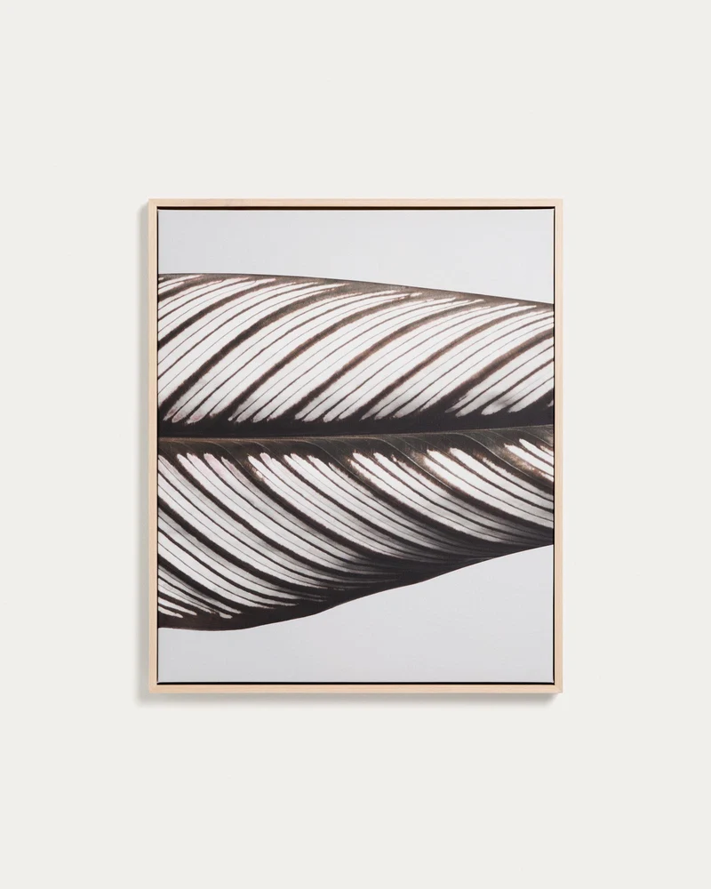 Bild Foliae – Fotografie eines Blatts, 52,5 x 62,5 cm