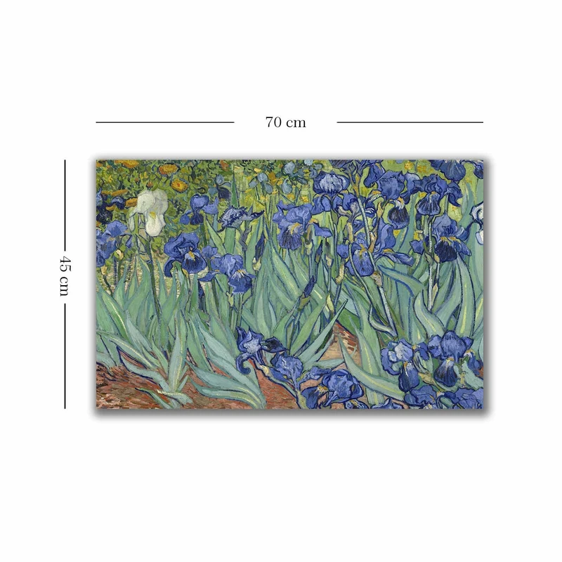 4570VANGOGH035 Bild - Mehrfarbig