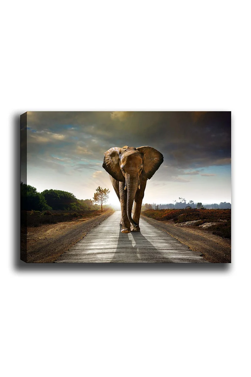 Kanvas Tablo (70 x 100) Bild - Mehrfarbig