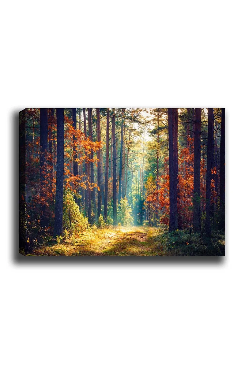 Kanvas Tablo (50 x 70) Bild - Mehrfarbig