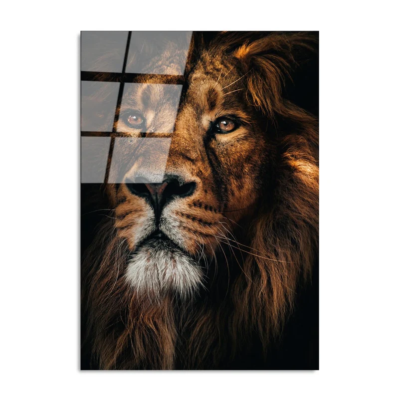 UV Bild - Mehrfarbig
